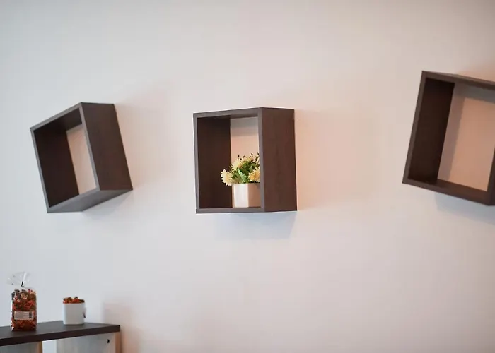 Rubic N Pool * Năvodari