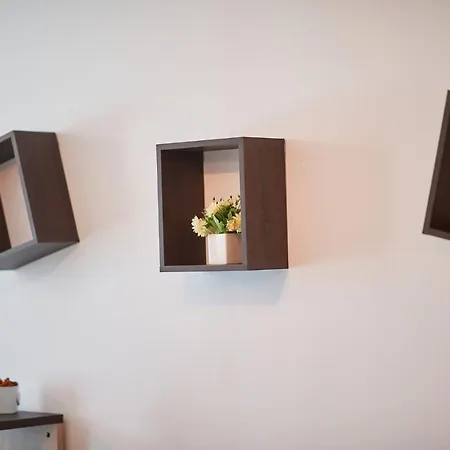 Rubic N Pool * Năvodari